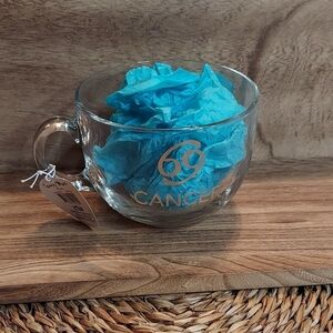 Cancer 69 Zodiac Glass Mug